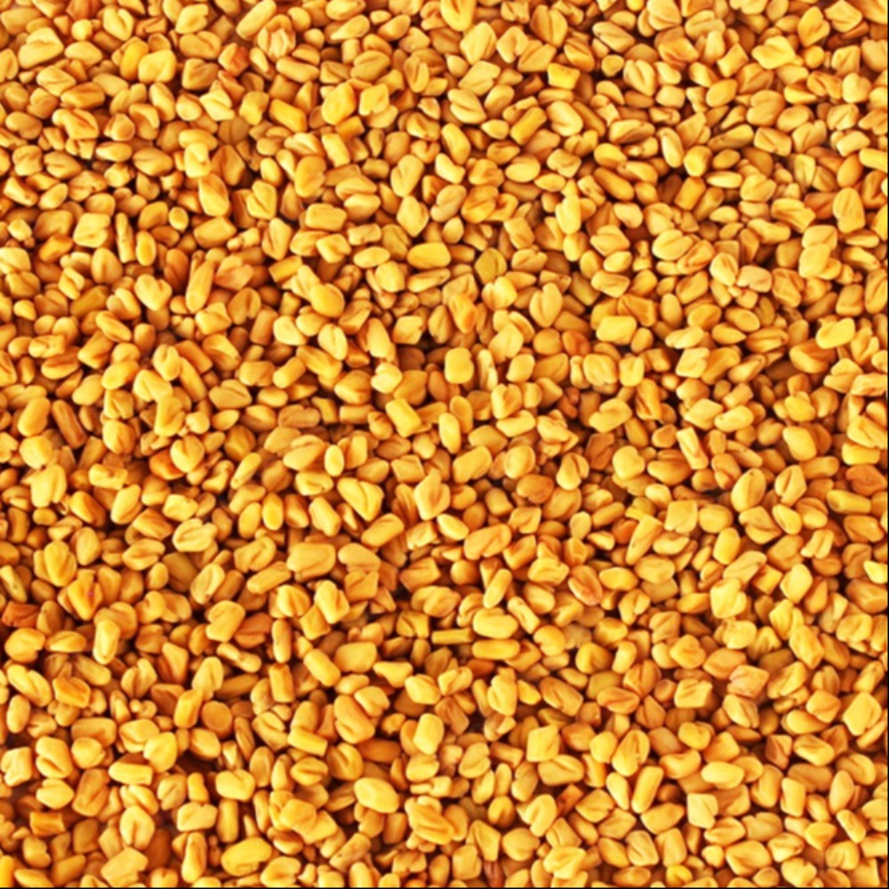 Pili Dana Methi Dry Natural पीली दाना मेथी 250 gm SDD2M - Image 2